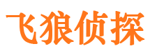 昔阳市调查公司